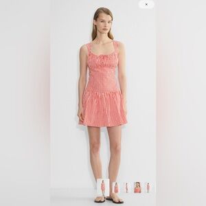 Aritzia Strudel Poplin Dress